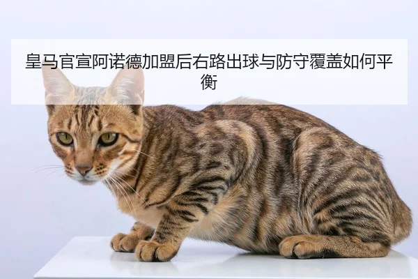 皇马官宣阿诺德加盟后右路出球与防守覆盖如何平衡