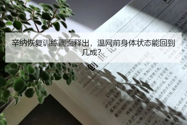 xin-na-hui-fu-xun-lian-hua-mian-shi-chu-wen-wang-qian-shen-ti-zhuang-tai-neng-hui-dao-ji-cheng-2-858.jpg