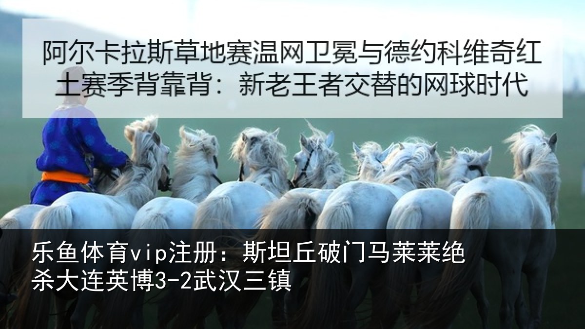 乐鱼体育vip注册：斯坦丘破门马莱莱绝杀大连英博3-2武汉三镇