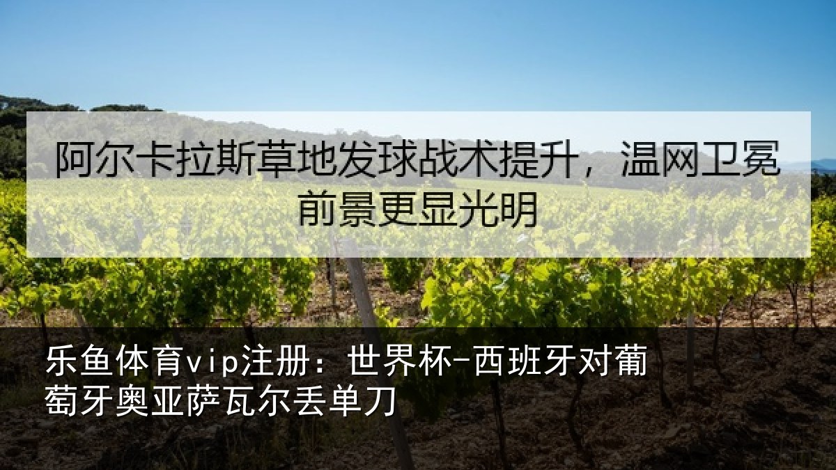 乐鱼体育vip注册:世界杯-西班牙对葡萄牙奥亚萨瓦尔丢单刀