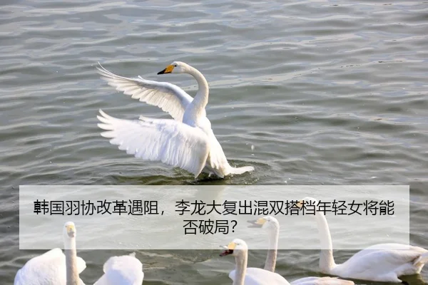 韩国羽协改革遇阻，李龙大复出混双搭档年轻女将能否破局？